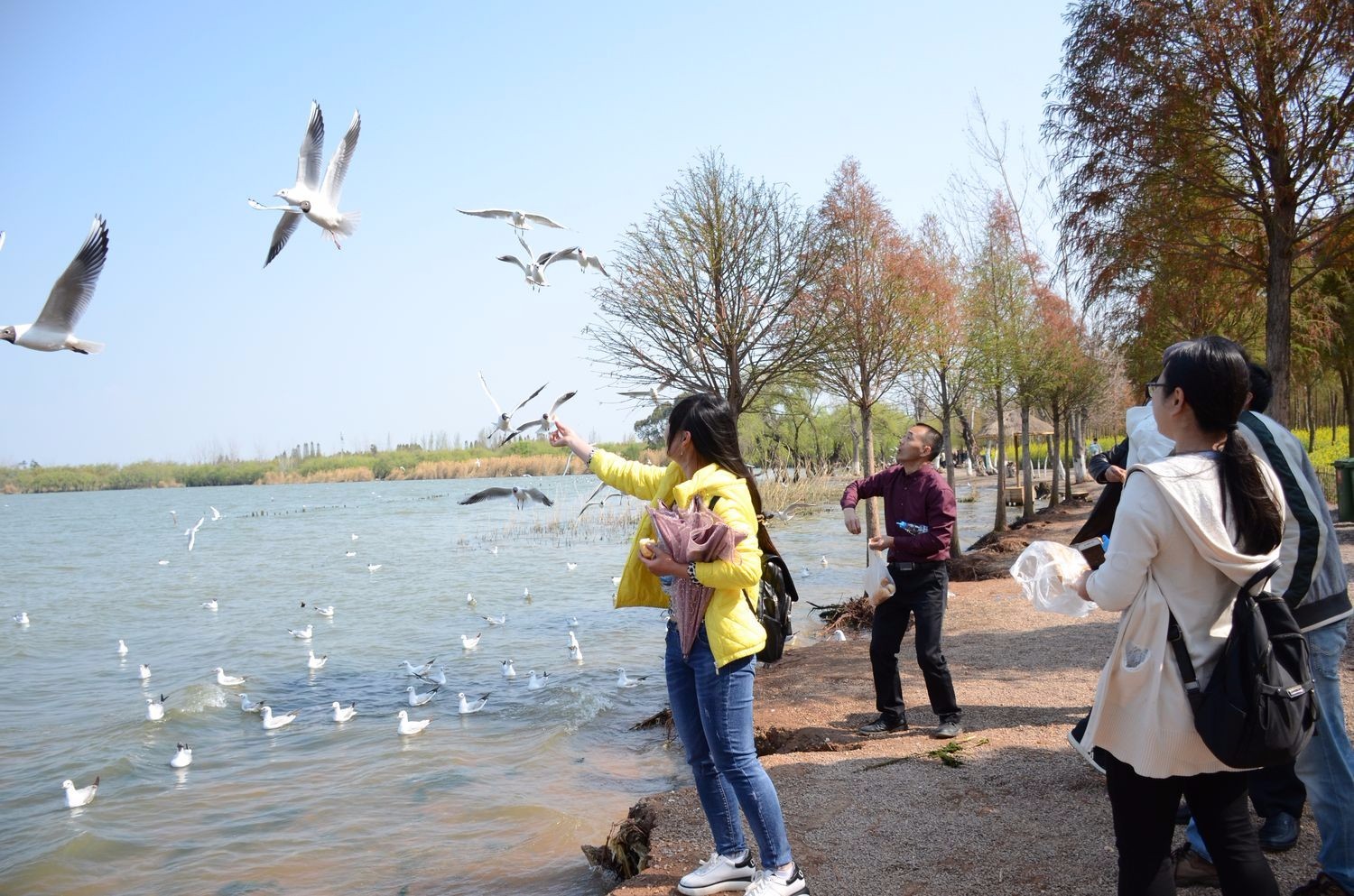 省民政厅组织2018年三八节活动2.jpg 省民政厅组织2018年三八节活动2.jpg