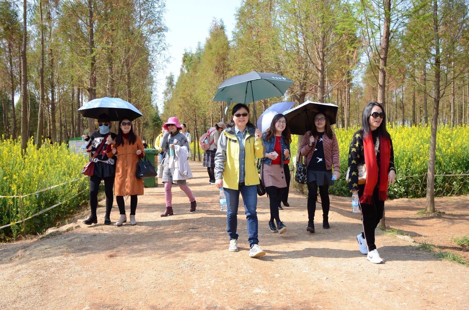 省民政厅组织2018年三八节活动3.jpg 省民政厅组织2018年三八节活动3.jpg